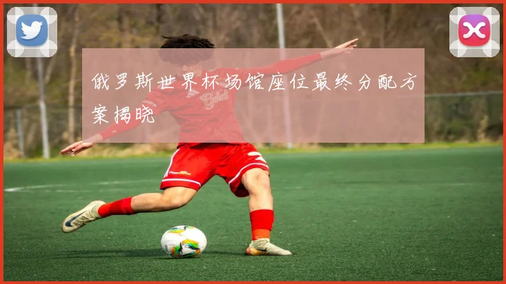 俄罗斯世界杯场馆座位最终分配方案揭晓