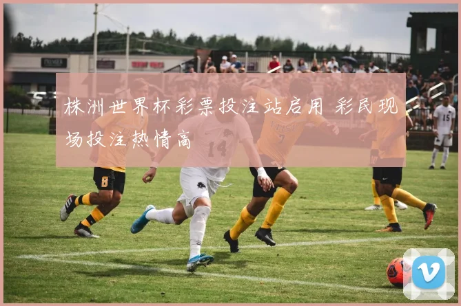 株洲世界杯彩票投注站启用 彩民现场投注热情高