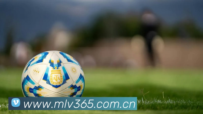 leyu.com服务体系